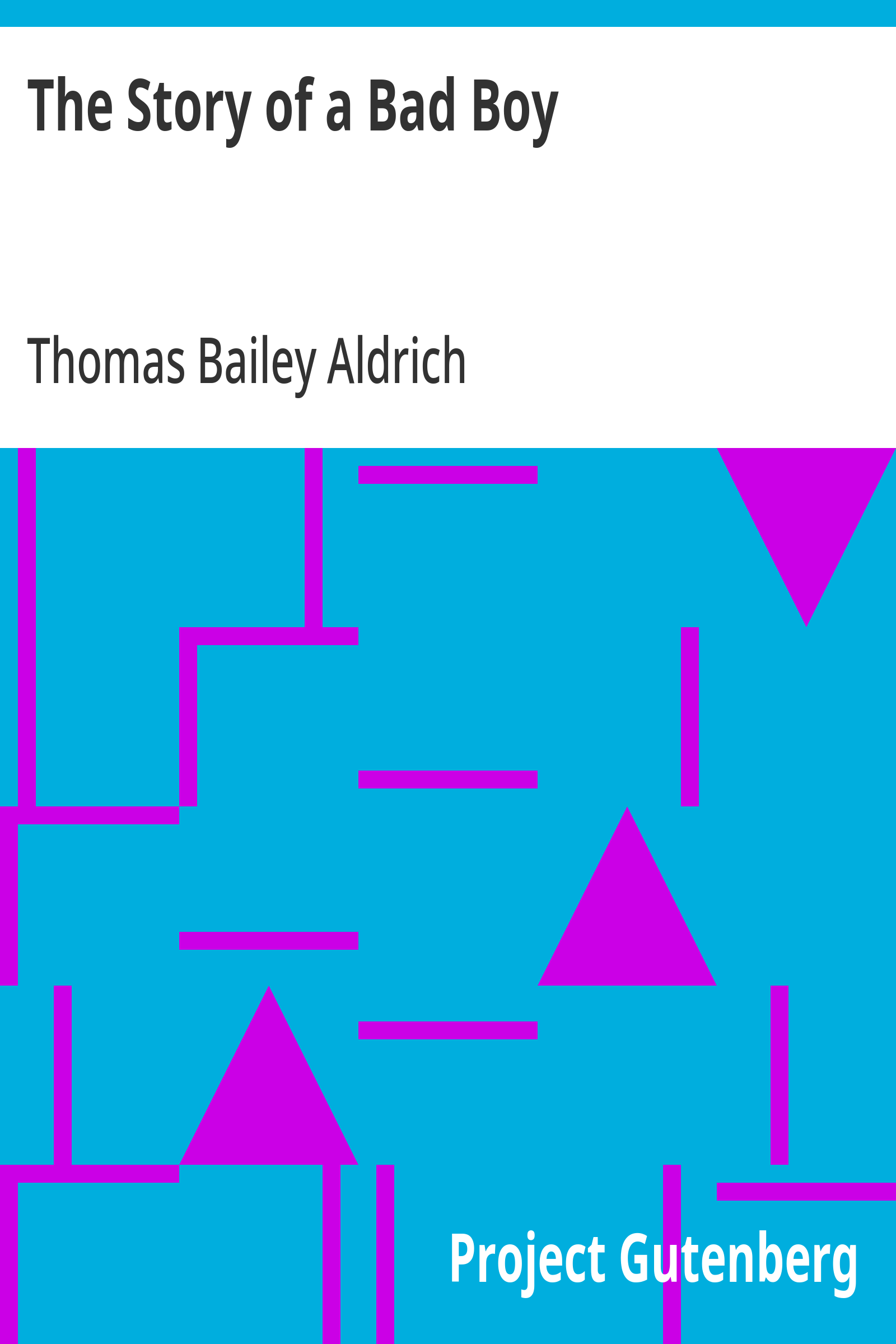 Cover: The Story of a Bad Boy