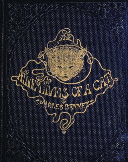 Cover: The Nine Lives of A Cat A Tale of Wonder