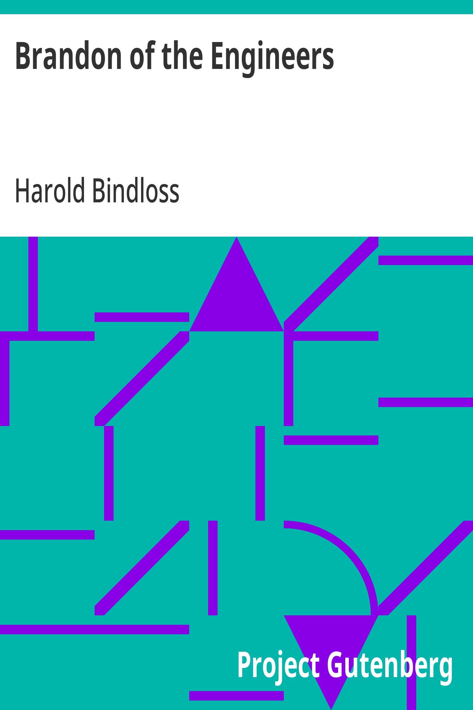 Cover: Brandon of the Engineers