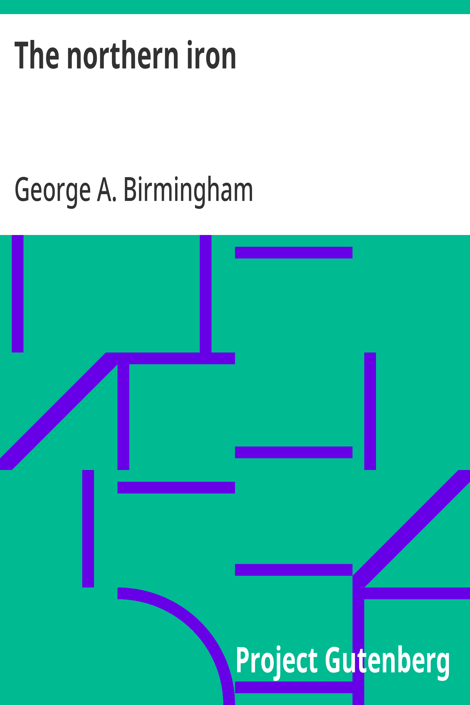 Cover: The northern iron