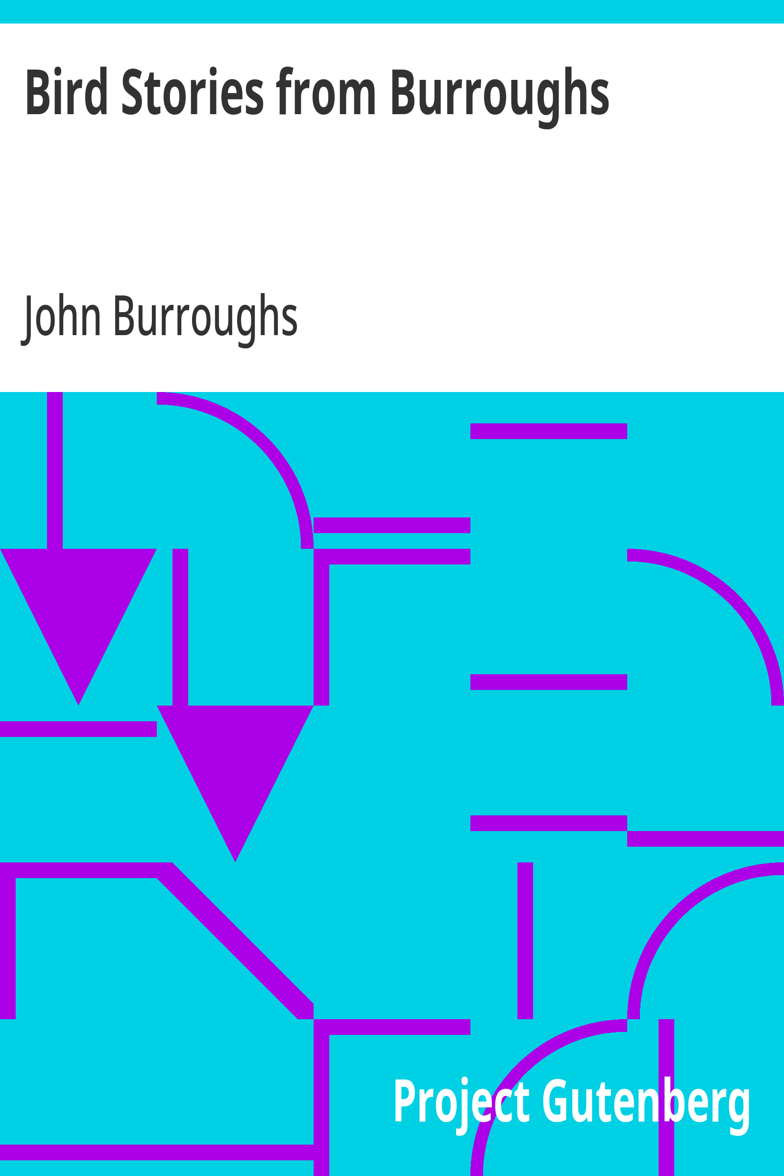 Cover: Bird Stories from Burroughs Sketches of Bird Life Taken from the Works of J