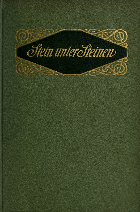 Cover: Stein unter Steinen Schauspiel in vier Akten